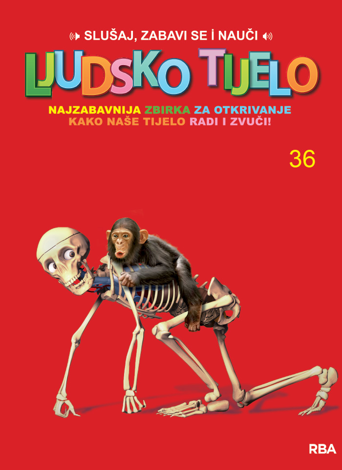 36