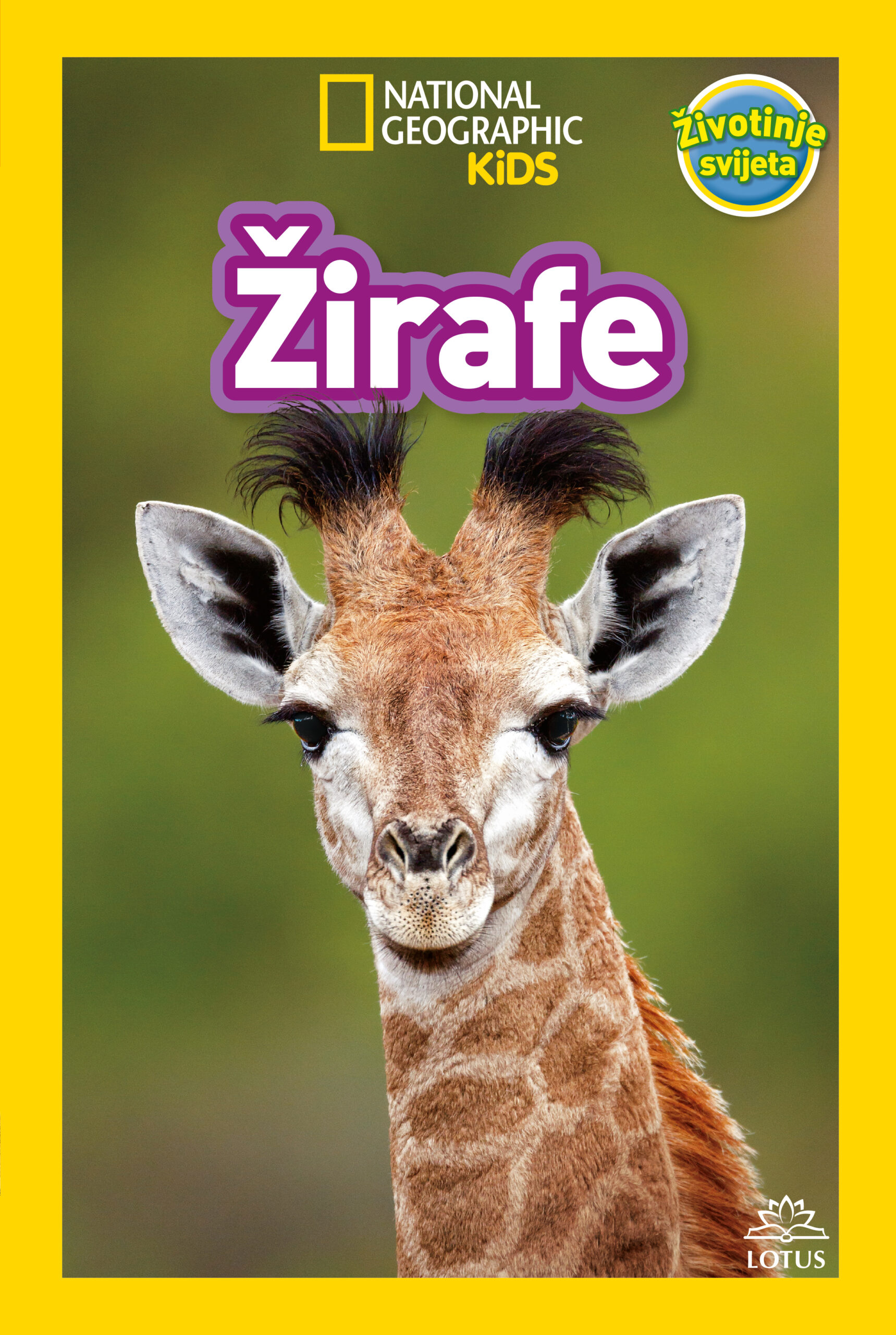 02_NatGeo_Zirafe