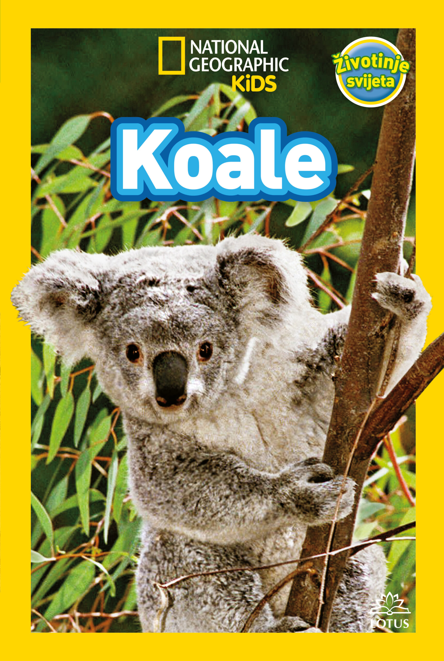 07_NatGeo_Koale